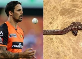 Mitchell Johnson