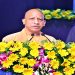 cm yogi
