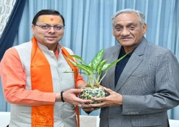 cm dhami