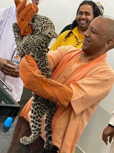 cm yogi