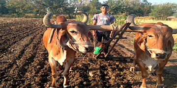 natural farming