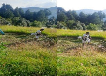 grass cutting machine