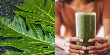 Papaya Leaf Juice