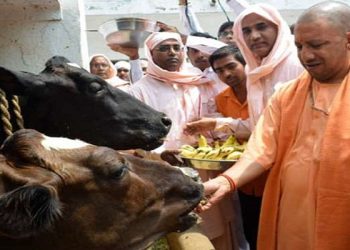 CM Yogi