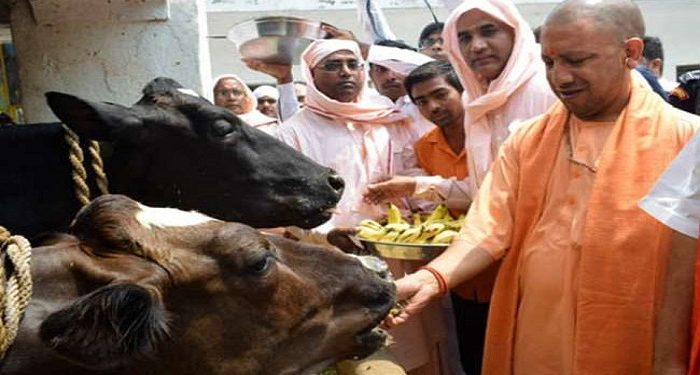 CM Yogi