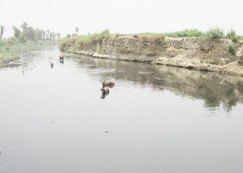 East Kali River