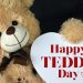 Teddy Day