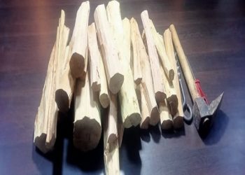 Two arrested with sandalwood worth fifty lakhs