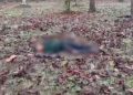 Two female Naxalites killed
