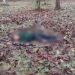 Two female Naxalites killed