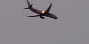 Bird hits plane before landing in Lucknow