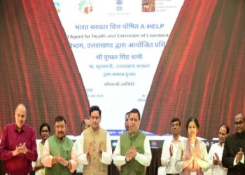 CM Dhami