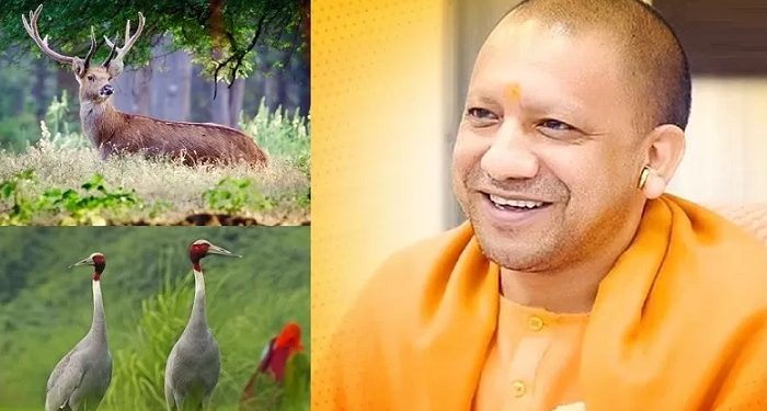 CM Yogi