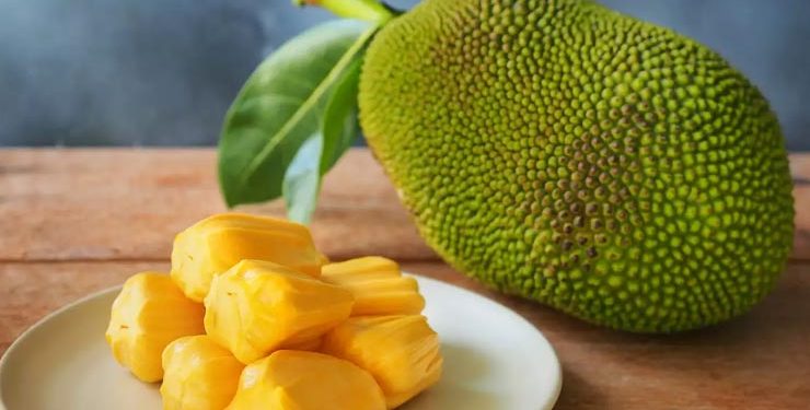 Jackfruit