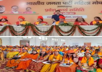 cm dhami