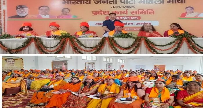 cm dhami