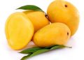 get rid of dry skin with mango