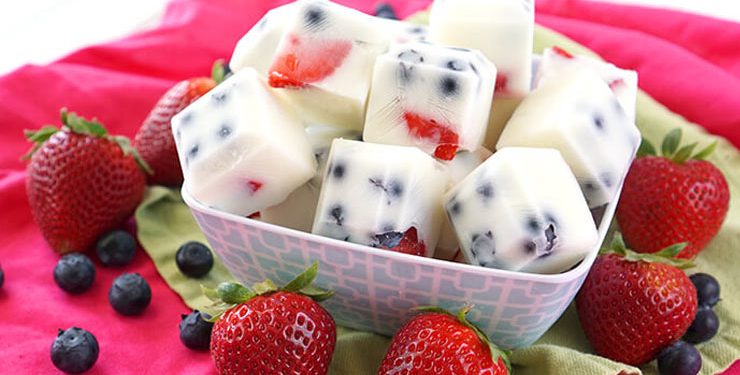 Frozen Yogurt Fruits Bites