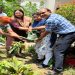 Neha Sharma planted a sapling