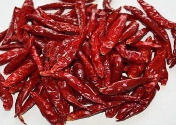 red chili