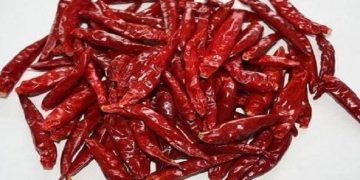 red chili
