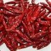 red chili