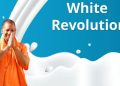 white revolution