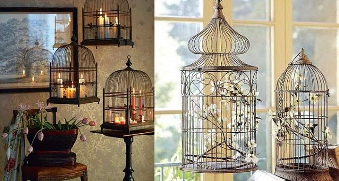 Birdcage