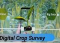 Digital crop survey