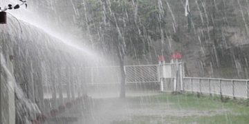 Rain Water