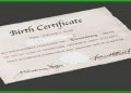 Digital Birth Certificate