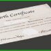 Digital Birth Certificate