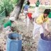 Swachhta Pakhwada