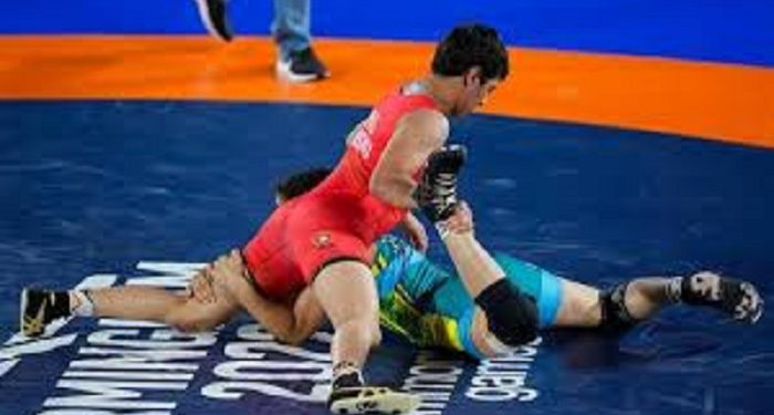 Wrestling Federation of India