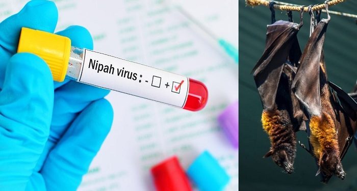 Nipah Virus