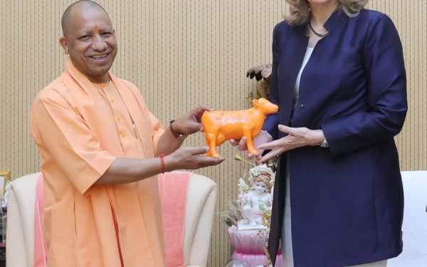 cm yogi