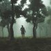 seeing forest in dream