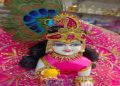 Laddu Gopal