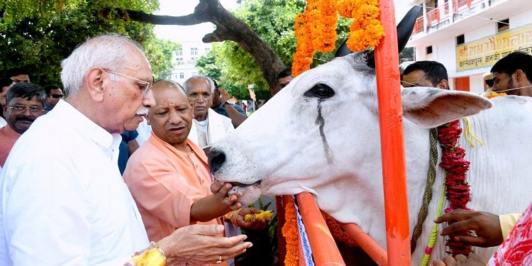 CM Yogi