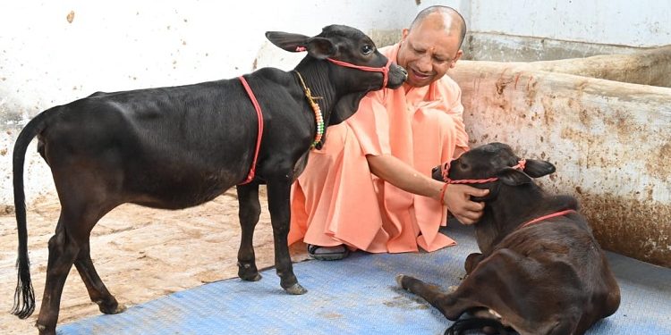 CM Yogi