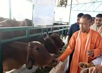 CM Yogi