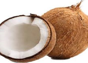 Coconut