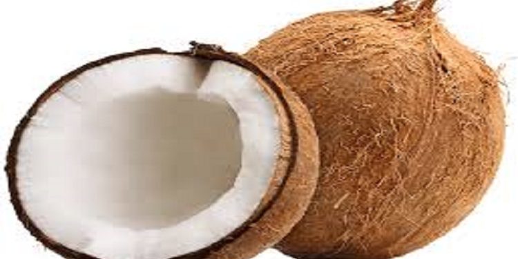 Coconut