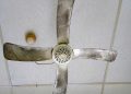 Ceiling Fan