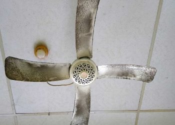 Ceiling Fan