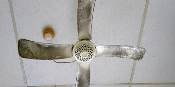 Ceiling Fan