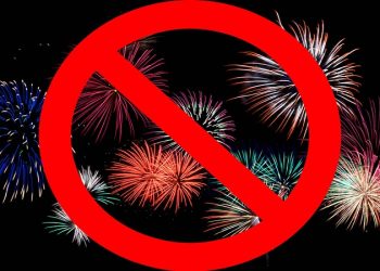 Fireworks Ban in Delhi