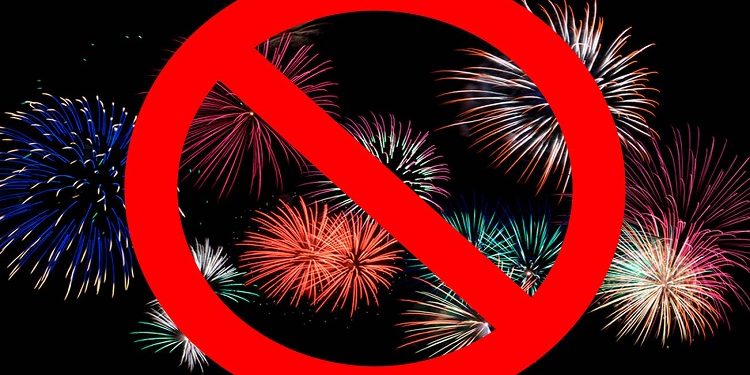 Fireworks Ban in Delhi