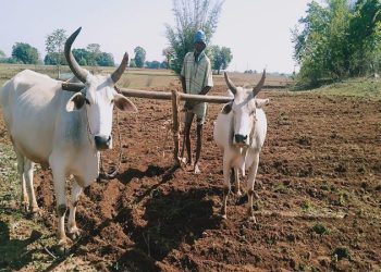 Natural Farming