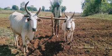 Natural Farming